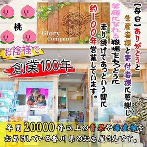 ＜滴る果汁とあふれる果肉が自慢のもも＞中玉の桃2kgセット【先行予約・2026年6月下旬より順次発送】秀品（約7～10個入り）