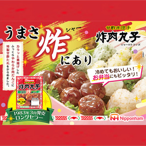 シャーローワンズ 計2.48kg （124g（標準10個入）×20パック） 肉 団子 甘酢 お弁当 