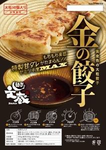 ご自宅用ド豚骨醤油らぁめん、金の餃子セット　（ご自宅用ド豚骨醤油らぁめん2食、金の餃子10個入り）【 らーめん 本格ラーメンをご自宅で 長野県 佐久市 】