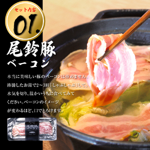 ハム・ソーセージ【PREMIUM PORK】尾鈴豚ハム・ソーセージ詰め合わせ５種 Bセット 【加工品 豚肉】
