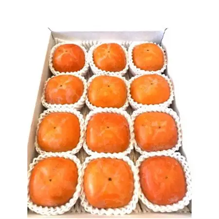 【秋の味覚】和歌山産たねなし柿約4kg 化粧箱入り(2L～4Lサイズ)(日高町)　2026年度発送【配送不可地域：離島】【1470147】