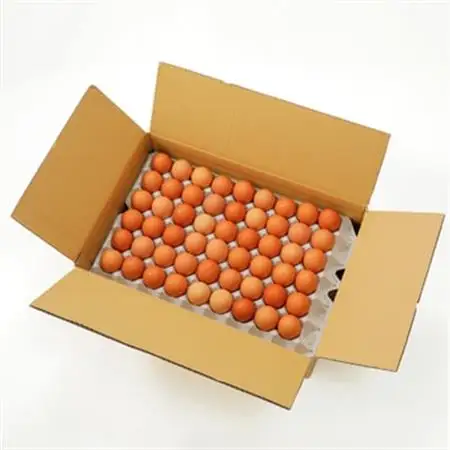 岩田のおいしい卵　小玉98個+破卵保障10個入り_卵・乳製品 卵  たまご タマゴ 玉子_【配送不可地域：離島】【1092662】