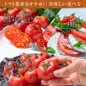 ＜先行予約受付開始！2026年3月下旬から順次発送予定＞フルーツトマト(1kg)トマト 野菜 期間限定 数量限定【110000101】【ひろしま農園】