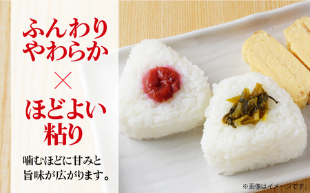 令和7年産 夢しずく 無洗米 白米 5kg / 佐賀県 / 株式会社森光商店 [41ACBW028]