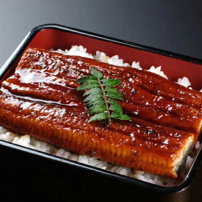 【数量限定】うなぎの蒲焼きとかつおのたたき　食べ比べセット（カット済）　鰹 カツオ 鰻 ウナギ 刺身 刺し身 惣菜 おかず 冷凍 魚 魚介 海鮮 カツオタタキ 10000円 