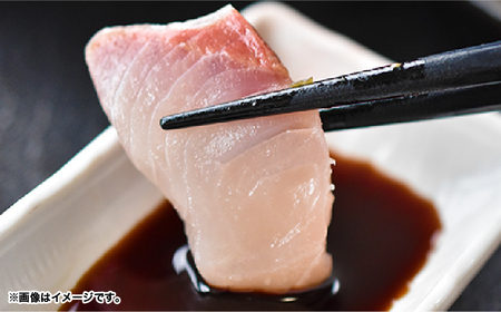 2154 【 全3回定期便 / 毎月お届け 】かのやカンパチ スキンレスロイン（ カマ入 ）計700g KN001-T02 魚 カンパチ