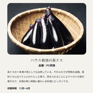 ナスの収穫体験チケット2名様 
