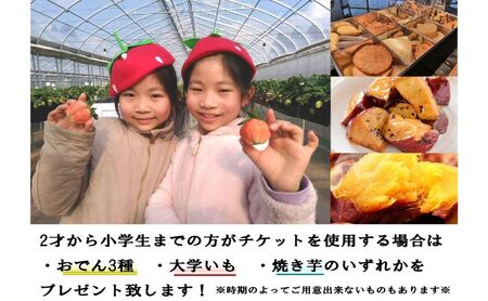 いちご狩り2名用チケット 体験チケット フルーツ狩り 親子 子連れ ファミリー 食べ比べ お出かけ 