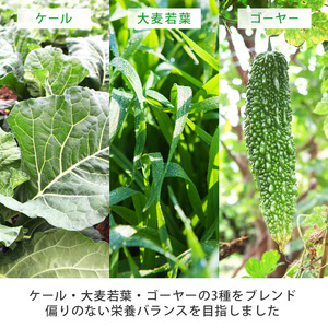 シリーズ累計販売数11億杯を突破した「青汁三昧」に乳酸菌200億個配合。「青汁三昧M-1」×10か月分 