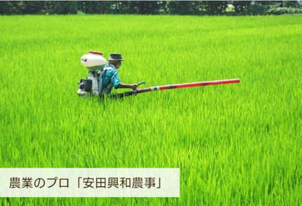 【令和7年産】阿賀野市産「にじのきらめき」10kg（5kg×2袋）  安田興和農事 生産者直送 新潟県 米 こめ コメ 1W07025
