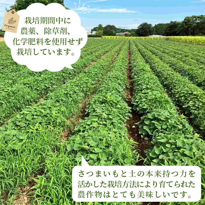 坂東市産　冷凍焼きいも　紅はるか1kg No.516