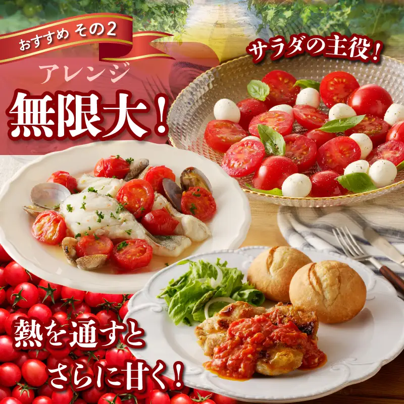 ≪期間限定≫高糖度ミニトマト『ニーゴ25。』(計1.6kg) ミニトマト 野菜 サラダ 国産_T040-0025