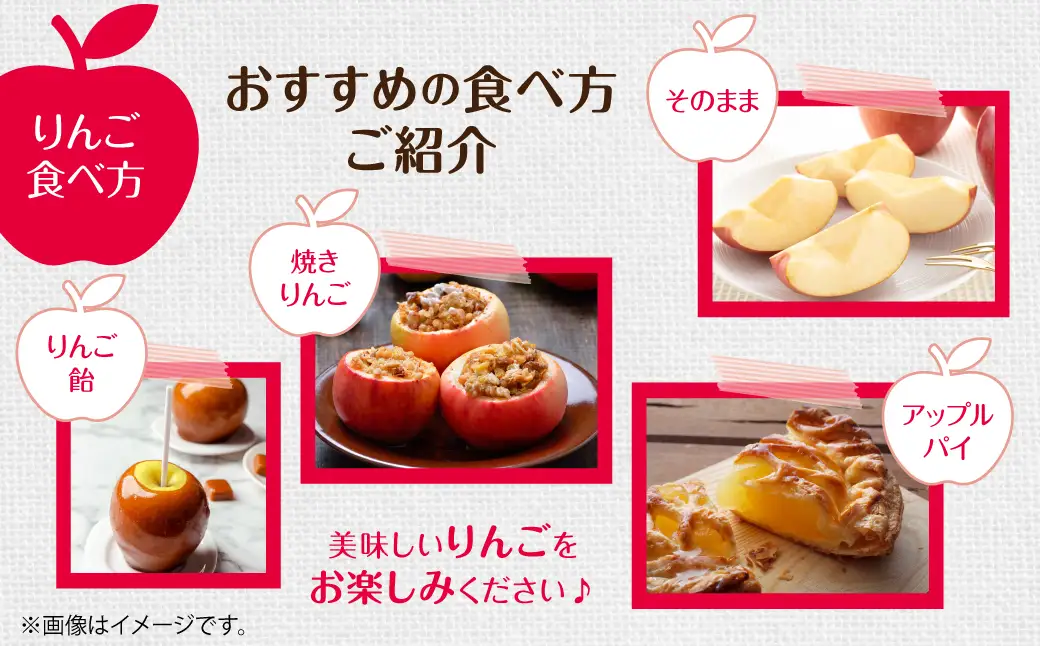 【先行予約】北海道壮瞥町産りんご「おいらせ」約3kg(7～10玉)＜2026年11月初旬にお届け＞ SBTF005