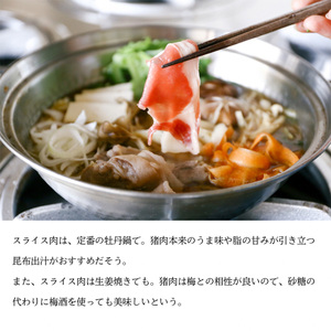 ジビエ 瀬戸内 特選 猪肉 スライス BOX（1人前150g×3セット）ジビエ