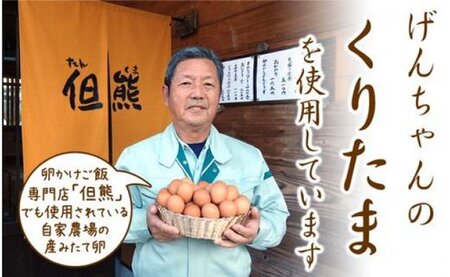 産みたて卵たっぷり！カステラ 1本