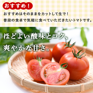 【P74002】ぜいたくトマト(約1.8kg) フルーツトマト 完熟 こだわり とまと トマト 大玉品種 夏野菜 野菜 産地直送【兼氏農園】