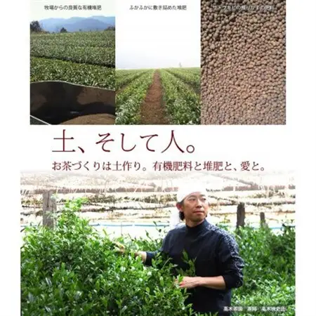 奥八女星野村　伝統本玉露[50g]×2袋_飲料・ドリンク 八女茶 茶 日本茶_【1463200】