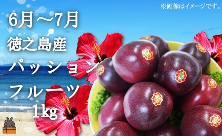 フルーツアイランド徳之島 季節のフルーツ定期便 ( 3回お届け 完熟マンゴー マンゴー パッションフルーツ たんかん 柑橘 果物 徳之島 奄美 鹿児島 定期便 世界自然遺産 旬 )