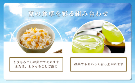 【2026年産】先行予約 とうもろこし 新茶 セット 詰め合わせ しんちゃん農園 甘々娘 甘太郎 甘い 森のとうもろこし 8～9本 緑茶 1パック トウモロコシ 茶 日本茶 静岡茶 煎茶 2026年 静岡 森町