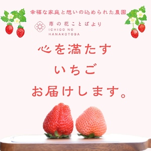 いちご 新潟 雪国完熟越後姫桃薫 約200g×2P食べ比べセット イチゴ 苺 お取り寄せ ギフト 贈り物 上越