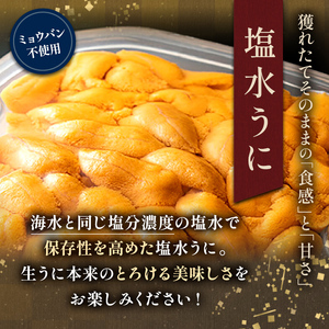 【鮮度抜群！極上生えぞバフンうに】生うに塩水詰め100g×2 ふるさと納税 うに F4F-3212