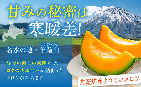 【先行予約】メロン 赤肉2玉 [AJAK004] メロン 果物 フルーツ 夏 北海道