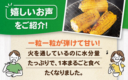 【8月下旬以降順次発送】スイートコーン 味来 13本 2Lサイズ / とうもろこし [AJAK006]