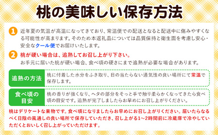 岡山県産 白桃 8玉(1.7kg以上) 株式会社山博 (中本青果)【配送不可地域あり】