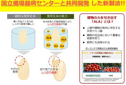 発芽玄米 1kg 2袋 発芽玄米