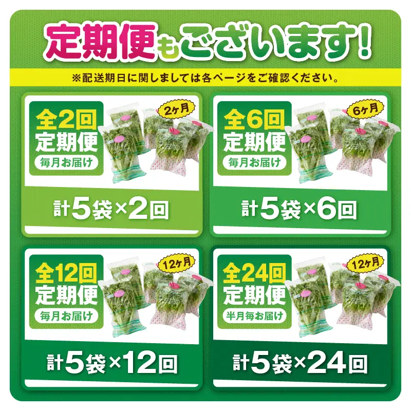 1629-2 【 全24回 定期便 】洗わずに食べられる プレミアム 水耕栽培 レタス セット（ 計5袋 ） KN064-T04 野菜