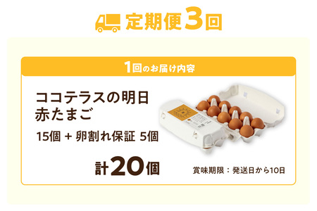 【3ヵ月定期便】ココテラスの明日（赤たまご）15個 + 5個保証（計20個）【JGAP認証】 農家直送 新鮮 卵 タマゴ 赤卵 玉子 鶏卵 朝食 夕食 夜食 朝ごはん たまご焼き オムレツ 卵ご飯 料理 濃厚 飼料にこだわった 卵かけご飯 米たまご 生卵 大容量 お取り寄せ 愛知県 常滑市