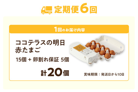 【6ヵ月定期便】ココテラスの明日（赤たまご）15個 + 5個保証（計20個）【JGAP認証】 農家直送 新鮮 卵 タマゴ 赤卵 玉子 鶏卵 朝食 夕食 夜食 朝ごはん たまご焼き オムレツ 卵ご飯 料理 濃厚 飼料にこだわった 卵かけご飯 米たまご 生卵 大容量 お取り寄せ 愛知県 常滑市