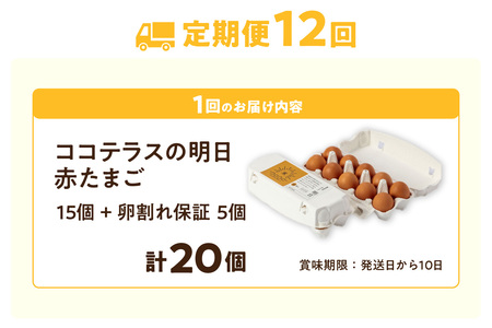 【12ヵ月定期便】ココテラスの明日（赤たまご）15個 + 5個保証（計20個）【JGAP認証】 農家直送 新鮮 卵 タマゴ 赤卵 玉子 鶏卵 朝食 夕食 夜食 朝ごはん たまご焼き オムレツ 卵ご飯 料理 濃厚 飼料にこだわった 卵かけご飯 米たまご 生卵 大容量 お取り寄せ 愛知県 常滑市
