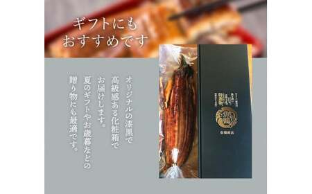 ■【全3回定期便】大型サイズ ふっくら柔らか 国産うなぎ蒲焼き 2尾×3回 計6尾 約1020g 【tkb309-h】