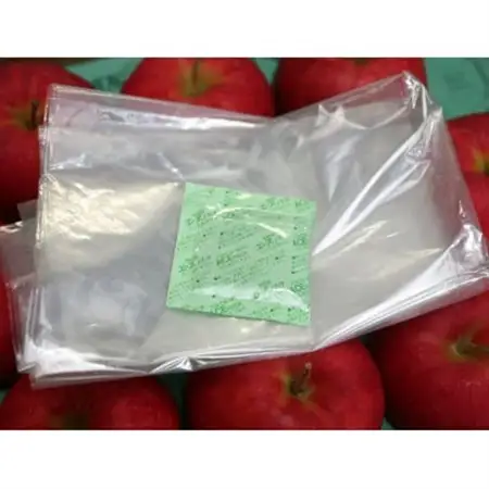 【R8年12月中旬～発送予定】訳あり 青森県産りんご「サンふじ」 約5kg(12～25個)_果物・フルーツ りんご  リンゴ 林檎_【配送不可地域：離島・沖縄県】【1467242】