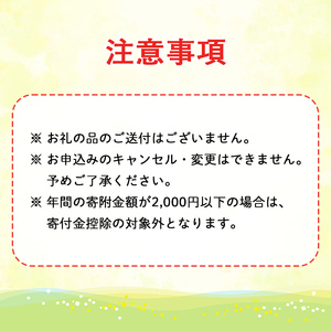 【0014601a】＜返礼品なし＞鹿児島県本土でいちばん小さな町「東串良町」への寄附(1口：1,000円)