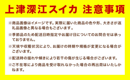 【先行予約】上津深江すいか 1玉 スイカ