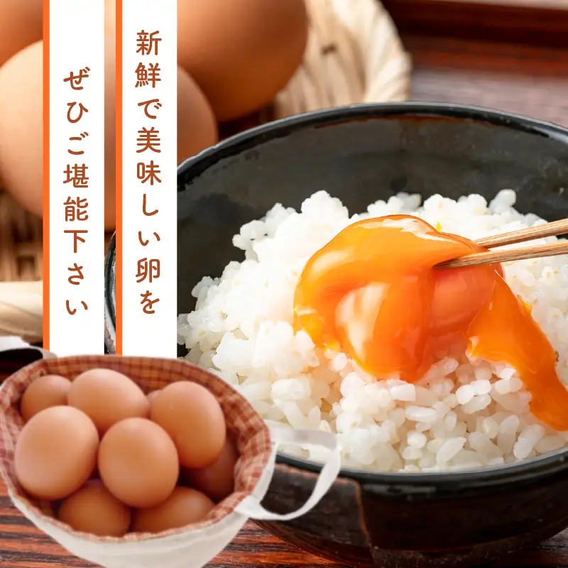 テトラエッグ40個入【A5-459】