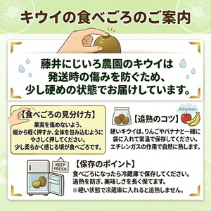 【先行予約】キウイ フルーツ 食べ比べセット 約1.9kg （ 4種アソート ） 阿武町産 希少品種を厳選！ 旬の味 を堪能 フルーツ 果物 デザート 山口県産 【お届け：2026年11月中旬～2027年2月下旬】※品種指定不可・合計8種から4種をお届け
