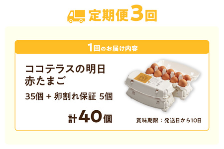 【3ヵ月定期便】ココテラスの明日（赤たまご）35個 + 5個保証（計40個）【JGAP認証】 農家直送 新鮮 卵 タマゴ 赤卵 玉子 鶏卵 朝食 夕食 夜食 朝ごはん たまご焼き オムレツ 卵ご飯 料理 濃厚 飼料にこだわった 卵かけご飯 米たまご 生卵 大容量 お取り寄せ 愛知県 常滑市