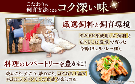 土佐鴨 セセリ (フレッシュ冷蔵) 約1kg 土佐鴨 土佐ジロー飼育研究会 【グレイジア株式会社】 [ATAC588]