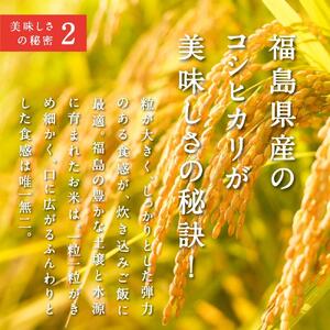 【三つ星グルメ】ごちそう鯛めしDX 4合セット (4～5人前)【１ヶ月程度で順次発送】炊飯器だけで完成 簡単調理【福島県×いわき市】AN007