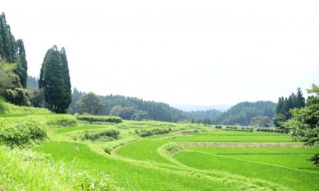 【予約受付】【12ヶ月定期便】令和8年産・新米 きよら米 3kg 予約 令和8年産 新米 南小国産 白米 玄米 食べ比べ 12ヶ月 定期便 あきげしき 精米 米 お米 玄米対応可能 ご飯 ごはん 無農薬 農薬不使用 有機栽培 真空パック 産地直送 あっぷるみんとハーブ農園 熊本 南小国 送料無料