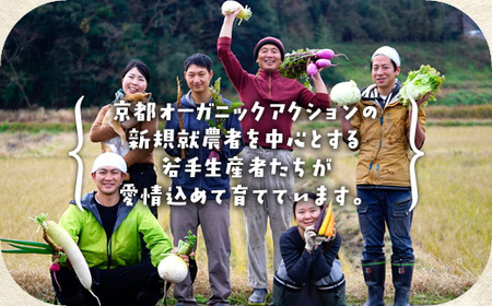 【6回定期便】＜アスカ有機農園＞旬の京野菜セットＳ 野菜 