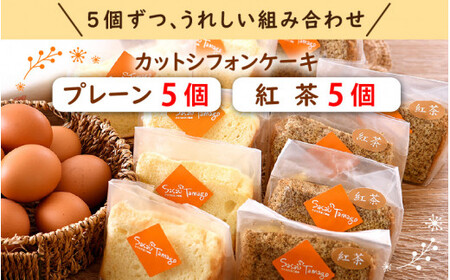 [037-a010_A] カットシフォンケーキ 10個セット（プレーン5個 、紅茶5個）