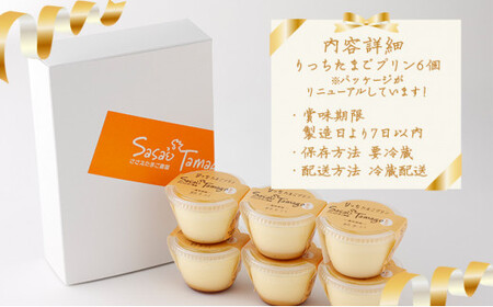 [037-a012_A] プリン たまごやさんのりっちたまごプリン6個セット