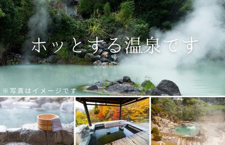 北海道ツアー 洞爺湖温泉 後から選べる旅行Webカタログで使える！ 旅行クーポン（1,500,000円分） 旅行券 宿泊券 飲食券 体験サービス券 北海道