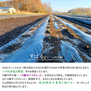 オーガニックにんにく使用 すばるファームの黒にんにく150g ／ 黒にんにく 黒ニンニク にんにく ニンニク 大蒜 ガーリック オーガニック 岩手県産にんにく 八幡平市産にんにく 八幡平バイオレット 数量限定 美味しい おいしい 自宅用 家庭用