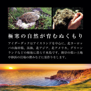 羽毛 肌掛け ふとん シングル 羽毛布団 寝具 布団