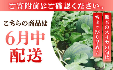 熊本スイカ先行予約 黒小玉スイカ(ひとりじめBonBon)2玉計約5kgすいか西瓜ZBY001